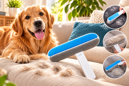 Brosse anti-poils pour chien utilisée sur un canapé