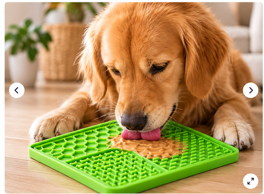 Chien utilisant le tapis de léchage pour chien en silicone
